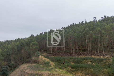 Helårsgrund i Paredes, Porto, Paredes - € 56.500 | Ref: DSAMTCG50/12937 - foto 7