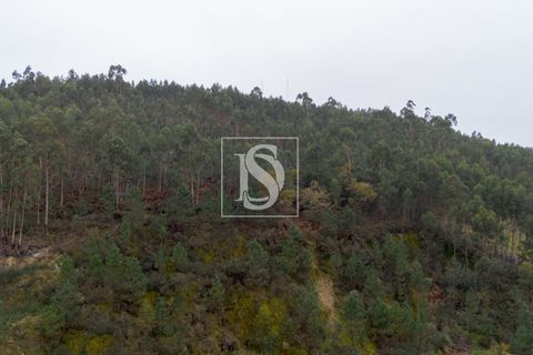 Helårsgrund i Paredes, Porto, Paredes - € 56.500 | Ref: DSAMTCG50/12937 - foto 8