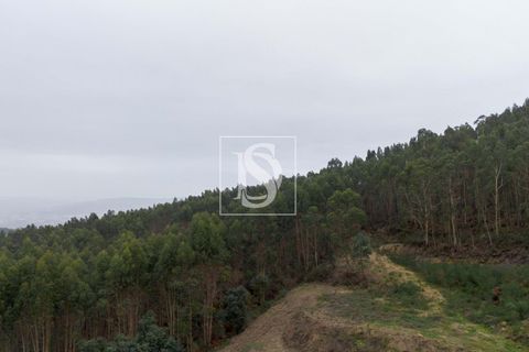 Helårsgrund i Paredes, Porto, Paredes - € 56.500 | Ref: DSAMTCG50/12937 - foto 9
