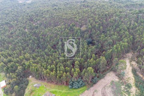Helårsgrund i Paredes, Porto, Paredes - € 56.500 | Ref: DSAMTCG50/12937 - foto 11