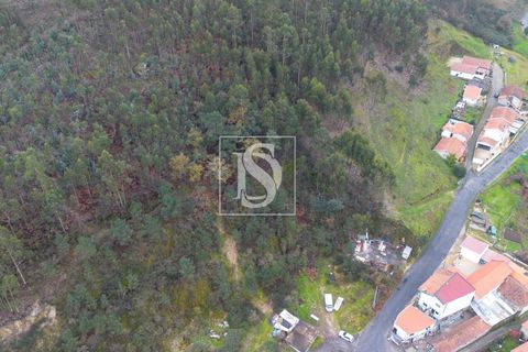 Helårsgrund i Paredes, Porto, Paredes - € 56.500 | Ref: DSAMTCG50/12937 - foto 12