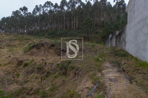 Helårsgrund i Paredes, Porto, Paredes - € 56.500 | Ref: DSAMTCG50/12937 - foto 19