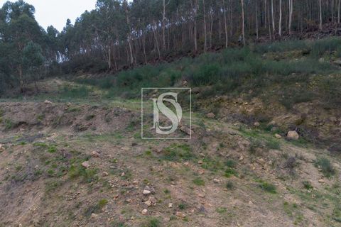 Helårsgrund i Paredes, Porto, Paredes - € 56.500 | Ref: DSAMTCG50/12937 - foto 22
