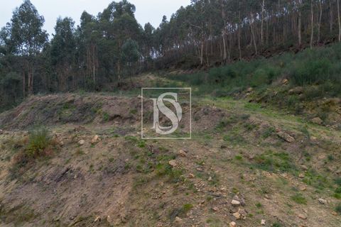 Helårsgrund i Paredes, Porto, Paredes - € 56.500 | Ref: DSAMTCG50/12937 - foto 23
