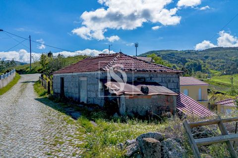 Villa i Baiao, Porto, Baiao - € 46.000 | Ref: DSAMTCG52/12937 - foto 22