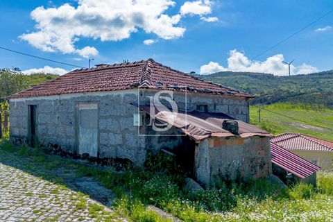 Villa i Baiao, Porto, Baiao - € 46.000 | Ref: DSAMTCG52/12937 - foto 23
