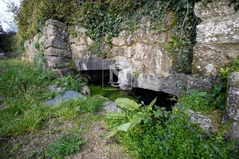 Villa i Paredes, Porto, Paredes - € 215.000 | Ref: DSAMTCG65/12937 - foto 16