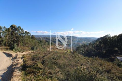 Helårsgrund i Amarante, Porto, Amarante - € 151.000 | Ref: AMTAACC466/12937 - foto 5