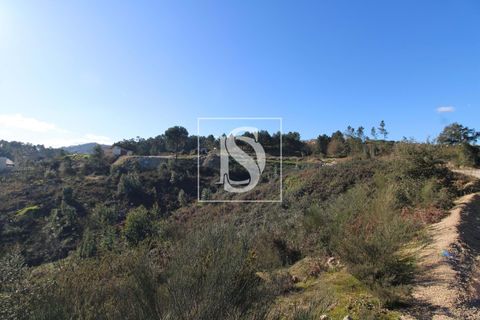 Helårsgrund i Amarante, Porto, Amarante - € 151.000 | Ref: AMTAACC466/12937 - foto 6