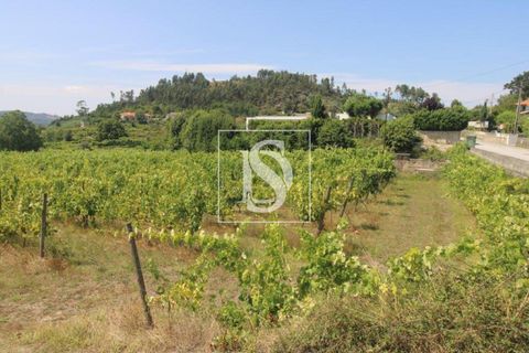 Helårsgrund i Amarante, Porto, Amarante - € 85.000 | Ref: AMTRM550/12937 - foto 1