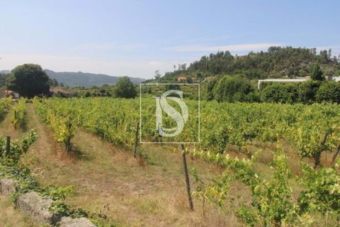 Helårsgrund i Amarante, Porto, Amarante - € 85.000 | Ref: AMTRM550/12937 - foto 2