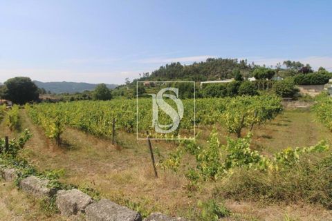 Helårsgrund i Amarante, Porto, Amarante - € 85.000 | Ref: AMTRM550/12937 - foto 3