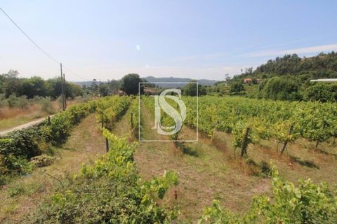Helårsgrund i Amarante, Porto, Amarante - € 85.000 | Ref: AMTRM550/12937 - foto 4
