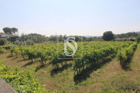 Helårsgrund i Amarante, Porto, Amarante - € 85.000 | Ref: AMTRM550/12937 - foto 5