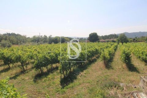 Helårsgrund i Amarante, Porto, Amarante - € 85.000 | Ref: AMTRM550/12937 - foto 6
