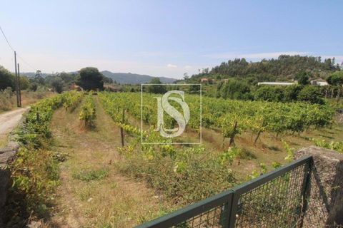 Helårsgrund i Amarante, Porto, Amarante - € 85.000 | Ref: AMTRM550/12937 - foto 7