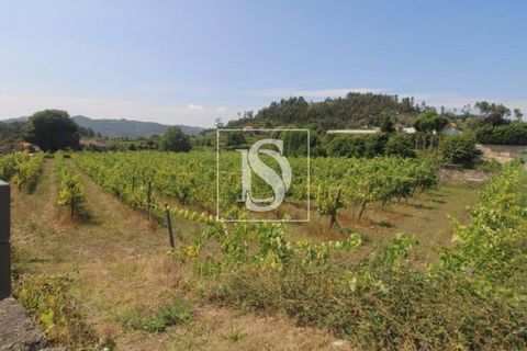 Helårsgrund i Amarante, Porto, Amarante - € 85.000 | Ref: AMTRM550/12937 - foto 8