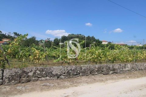 Helårsgrund i Amarante, Porto, Amarante - € 85.000 | Ref: AMTRM550/12937 - foto 9