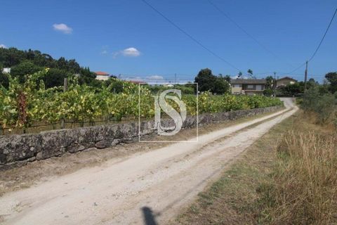 Helårsgrund i Amarante, Porto, Amarante - € 85.000 | Ref: AMTRM550/12937 - foto 10