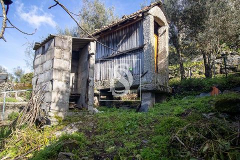 Villa i Amarante, Porto, Amarante - € 57.500 | Ref: AMTRM673/12937 - foto 8