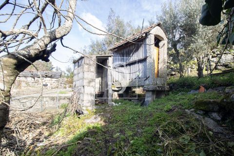 Villa i Amarante, Porto, Amarante - € 57.500 | Ref: AMTRM673/12937 - foto 14
