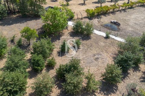 Helårsgrund i Amarante, Porto, Amarante - € 67.500 | Ref: DSAMTAMTAG5/12937 - foto 2