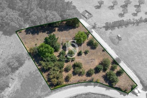 Helårsgrund i Amarante, Porto, Amarante - € 67.500 | Ref: DSAMTAMTAG5/12937 - foto 3