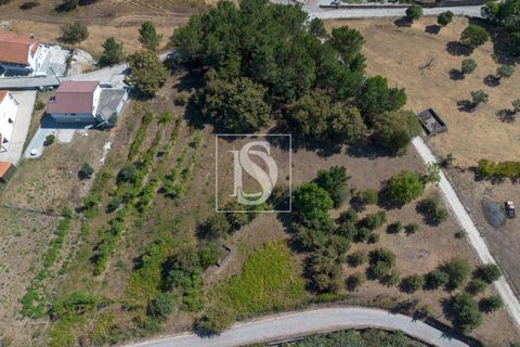 Helårsgrund i Amarante, Porto, Amarante - € 67.500 | Ref: DSAMTAMTAG5/12937 - foto 5