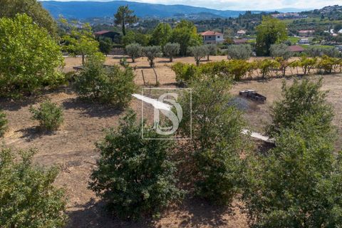 Helårsgrund i Amarante, Porto, Amarante - € 67.500 | Ref: DSAMTAMTAG5/12937 - foto 6