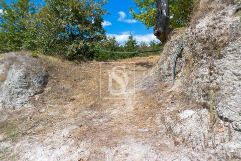 Helårsgrund i Amarante, Porto, Amarante - € 67.500 | Ref: DSAMTAMTAG5/12937 - foto 7