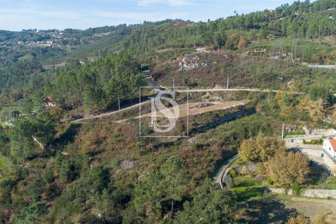 Helårsgrund i Amarante, Porto, Amarante - € 25.000 | Ref: DSAMTRM30/12937 - foto 3