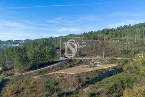 Helårsgrund i Amarante, Porto, Amarante - € 25.000 | Ref: DSAMTRM30/12937 - foto 4
