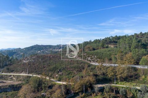 Helårsgrund i Amarante, Porto, Amarante - € 25.000 | Ref: DSAMTRM30/12937 - foto 10