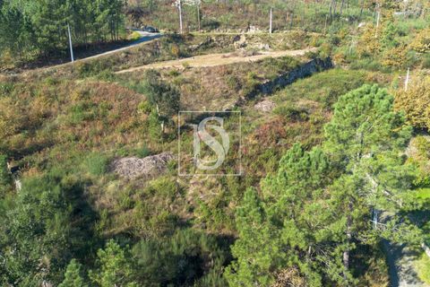 Helårsgrund i Amarante, Porto, Amarante - € 25.000 | Ref: DSAMTRM30/12937 - foto 14