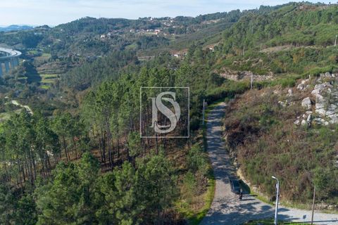 Helårsgrund i Amarante, Porto, Amarante - € 25.000 | Ref: DSAMTRM30/12937 - foto 15