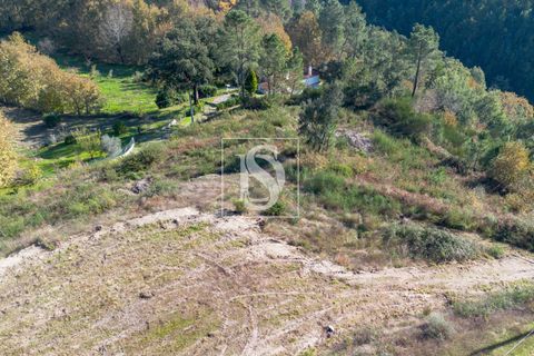 Helårsgrund i Amarante, Porto, Amarante - € 25.000 | Ref: DSAMTRM30/12937 - foto 20