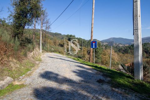 Helårsgrund i Amarante, Porto, Amarante - € 25.000 | Ref: DSAMTRM30/12937 - foto 21