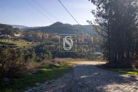 Helårsgrund i Amarante, Porto, Amarante - € 25.000 | Ref: DSAMTRM30/12937 - foto 23