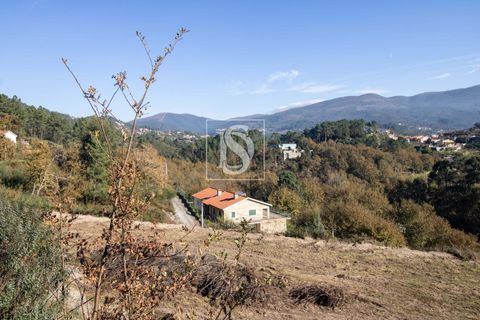 Helårsgrund i Amarante, Porto, Amarante - € 25.000 | Ref: DSAMTRM30/12937 - foto 24