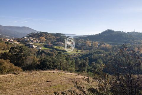 Helårsgrund i Amarante, Porto, Amarante - € 25.000 | Ref: DSAMTRM30/12937 - foto 25