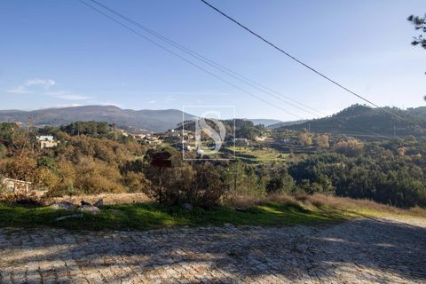 Helårsgrund i Amarante, Porto, Amarante - € 25.000 | Ref: DSAMTRM30/12937 - foto 28