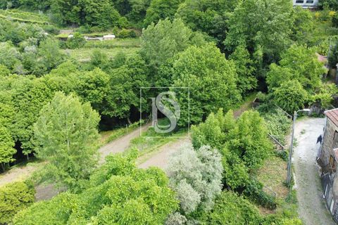 Villa i Amarante, Porto, Amarante - € 28.000 | Ref: AMTRM518/12937 - foto 10