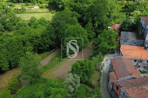 Villa i Amarante, Porto, Amarante - € 28.000 | Ref: AMTRM518/12937 - foto 11