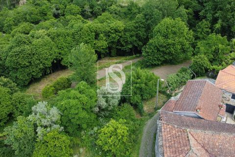 Villa i Amarante, Porto, Amarante - € 28.000 | Ref: AMTRM518/12937 - foto 12