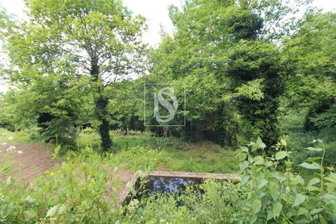 Villa i Amarante, Porto, Amarante - € 28.000 | Ref: AMTRM518/12937 - foto 15