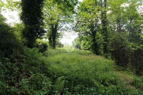 Villa i Amarante, Porto, Amarante - € 28.000 | Ref: AMTRM518/12937 - foto 17