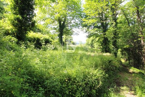 Villa i Amarante, Porto, Amarante - € 28.000 | Ref: AMTRM518/12937 - foto 18