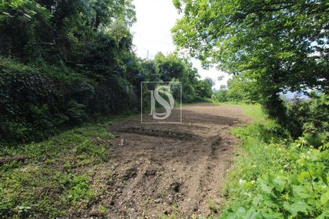 Villa i Amarante, Porto, Amarante - € 28.000 | Ref: AMTRM518/12937 - foto 19
