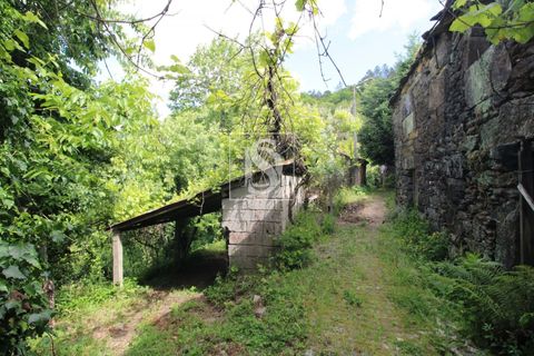 Villa i Amarante, Porto, Amarante - € 28.000 | Ref: AMTRM518/12937 - foto 20