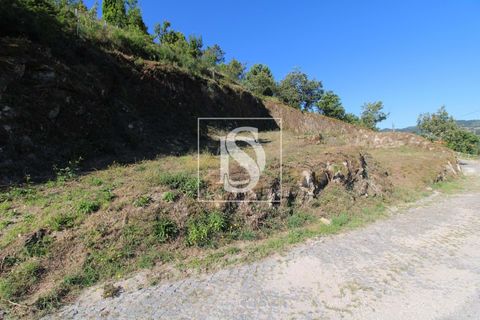 Helårsgrund i Amarante, Porto, Amarante - € 40.000 | Ref: AMTRM534/12937 - foto 5